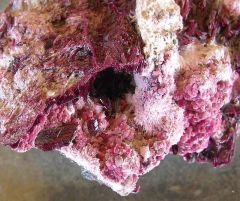 Erythrite