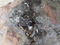 Hématite (var Spécularite) et Quartz