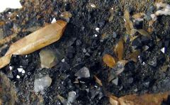 Titanite et Magnétite