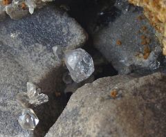 Septaria à Quartz diamant et Ankérite