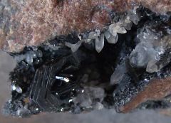 Hématite (var Spécularite) et Quartz