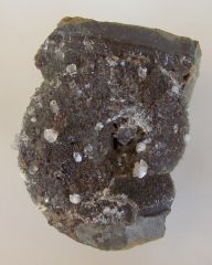 Septaria à Quartz diamant sur Ammonite