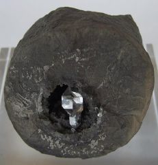 Septaria à Quartz diamant