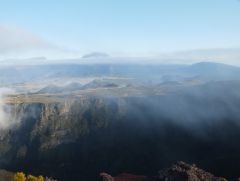 Piton dans la brume