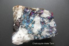 001 chalcopyrite irisée Tarn