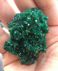 Dioptase de M'Fouati, Congo.