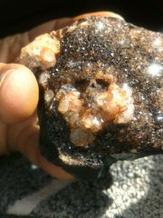 IMG 20160220 WA0002