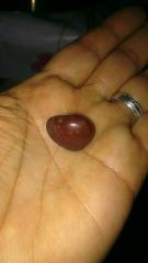 IMG 20160219 WA0006