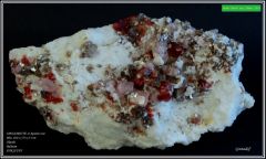 SPESSARTITE Pakistan Apatite rose