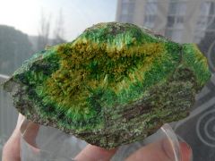 Cuprosklodowsikite (vert) et Soddyite (jaune), mine Kasolo, Shinkolobwe, Katanga, RDC.