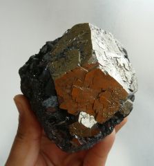 Pyrite sur Hématite, Ile d'Elbe, Italie.