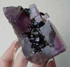 Fluorine (avec cristaux Fantômes et inclusion de blende) et Sphalérite (Var. de Blende), Denton Mine, Illinois, USA.