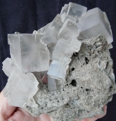 Halite, Mine Wielicka, Wielicka,Matopolskie, Pologne.