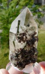 Quartz avec inclusion de Tourmalines et lépidolite, Minas Gérais, Brésil.