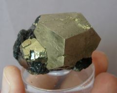 Pyrite sur Hématite, Province Livorno, Île d'Elbe, Toscane, Italie.