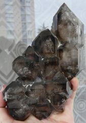 Quartz fumé ( Cathédrale), Divinos das Laranjeiras, vallée Doce, Minas Gérais, Brésil.