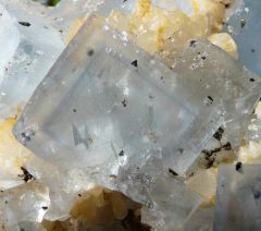 Fluorine (cristaux fantômes), Quartz et Chalcopyrite, Mine Le Burc, Région D'Alban et du Fraysse, Tarn, Midi-Pyrénées, France.