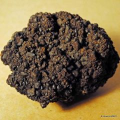Goethite - morceau cuirasse de fer sur latérites (Massif du Boulinda)