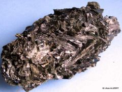 Glaucophanite