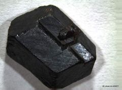 Magnétite (coll. W.F.)