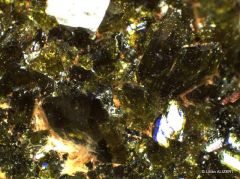 Epidote (coll. DIMENC)