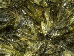 Epidote (Port Ouenghi)