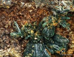 Malachite (Mine Mérétrice)