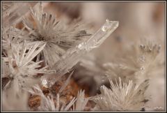 Quartz et Aragonites