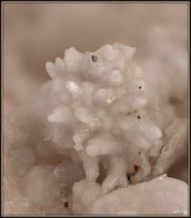 Aragonite