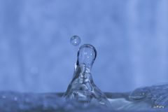 53-IMG_4992.JPG