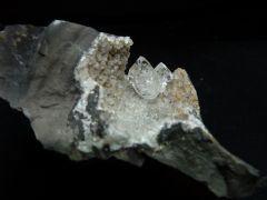 Quartz dans poudingue d'Upaix (Hautes Alpes)