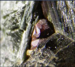 Rutile sur Actinote suisse
