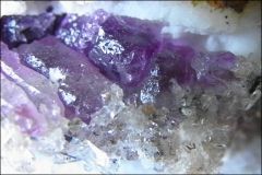 "Fluorapatite"
