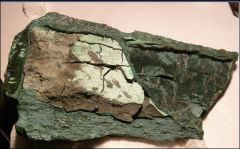 Malachite et bois fossilisé