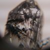 macro 2 quartz et schorl